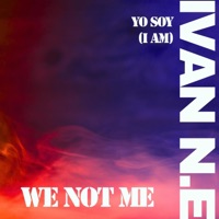 We Not Me (feat. Missy) - Single - Ivan N.E.