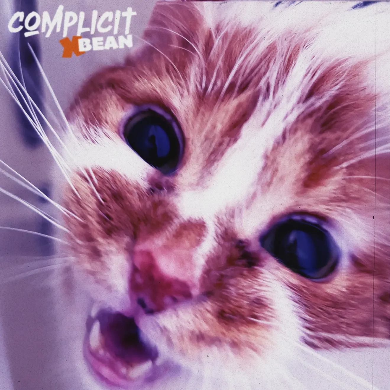 Complicit – I’m A Bean (feat. Beautynthebean) – Single (2024) [iTunes Match M4A]