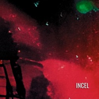 Incel - Single - Dadbodd