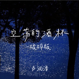空荡的酒杯 (慢摇破碎版) Lu Run Ze