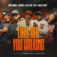 Lihle Are You Walking (feat. Qwesta Kufet, Lintonto, TeeKay M10 & Luna Deep) - Single - Super Mosha Ottimo, Olley RSA & HFLY