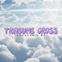 Träume Groß (feat. BG & Barré) - Single - AceAcer