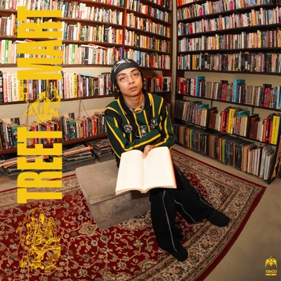 streetsmart - Single