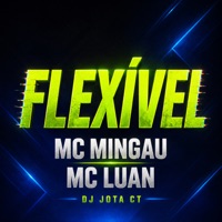 Flexivel - Single - Mc Mingau & Mc Luan