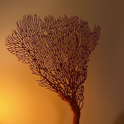 You Chose Knowing (feat. Sam Eagle) - Single