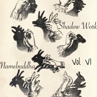 Shadow Work Vol. 6 EP - EP - namebuddha