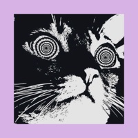 Album cover for tv girl by dankira