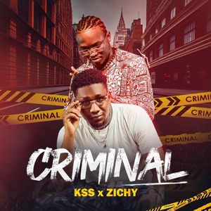 Criminal (feat. Zichy)