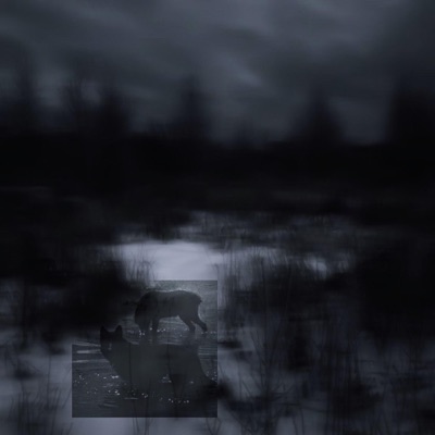 Rotten Wood (feat. lonewitch) - Single