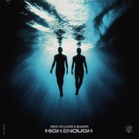 High Enough - Single - Mike Williams & Vluarr