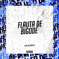 Flauta de Bigode - Single - DJ MT & Mc Dobella