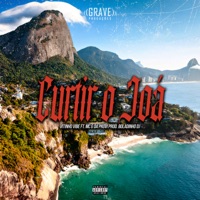 Curtir o Joá (feat. Mc G da Provi) - Single - Mc Vitinho Vibe