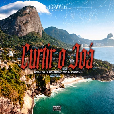 Curtir o Joá (feat. Mc G da Provi) - Single