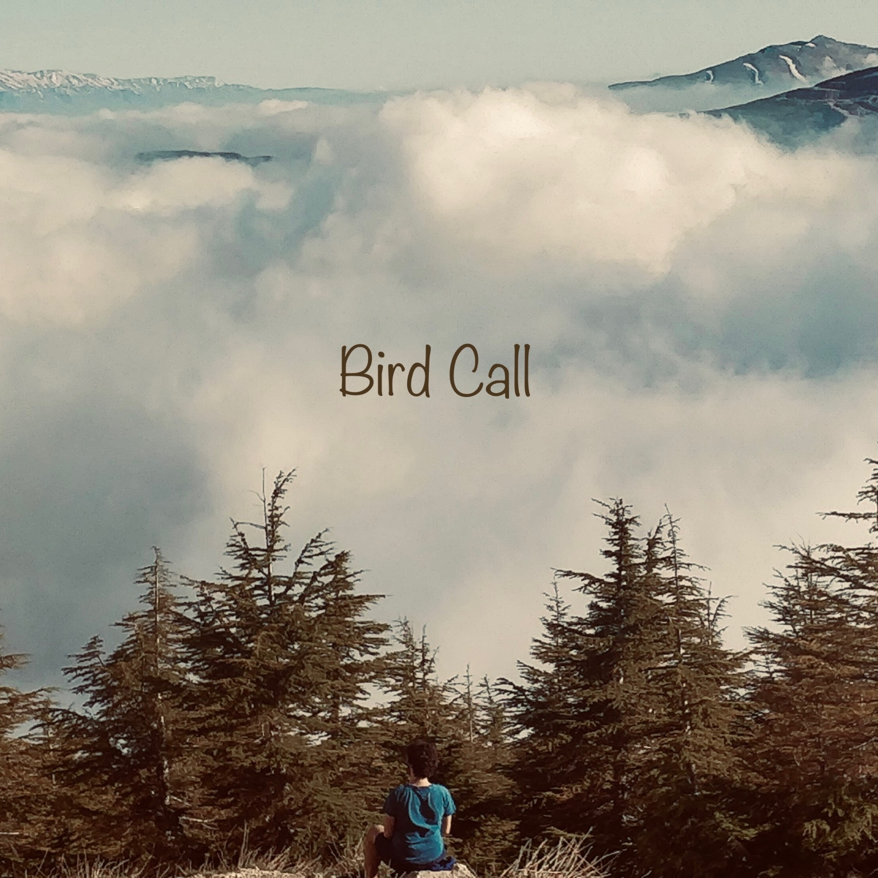 Bird Call