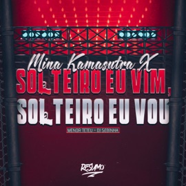 Mina Kamasutra Vs Solteiro Eu Vim, Solteiro Eu Vou (feat. Menor Teteu) DJ Sebinha