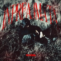 IN PREAJMA TA - Single - Ryon