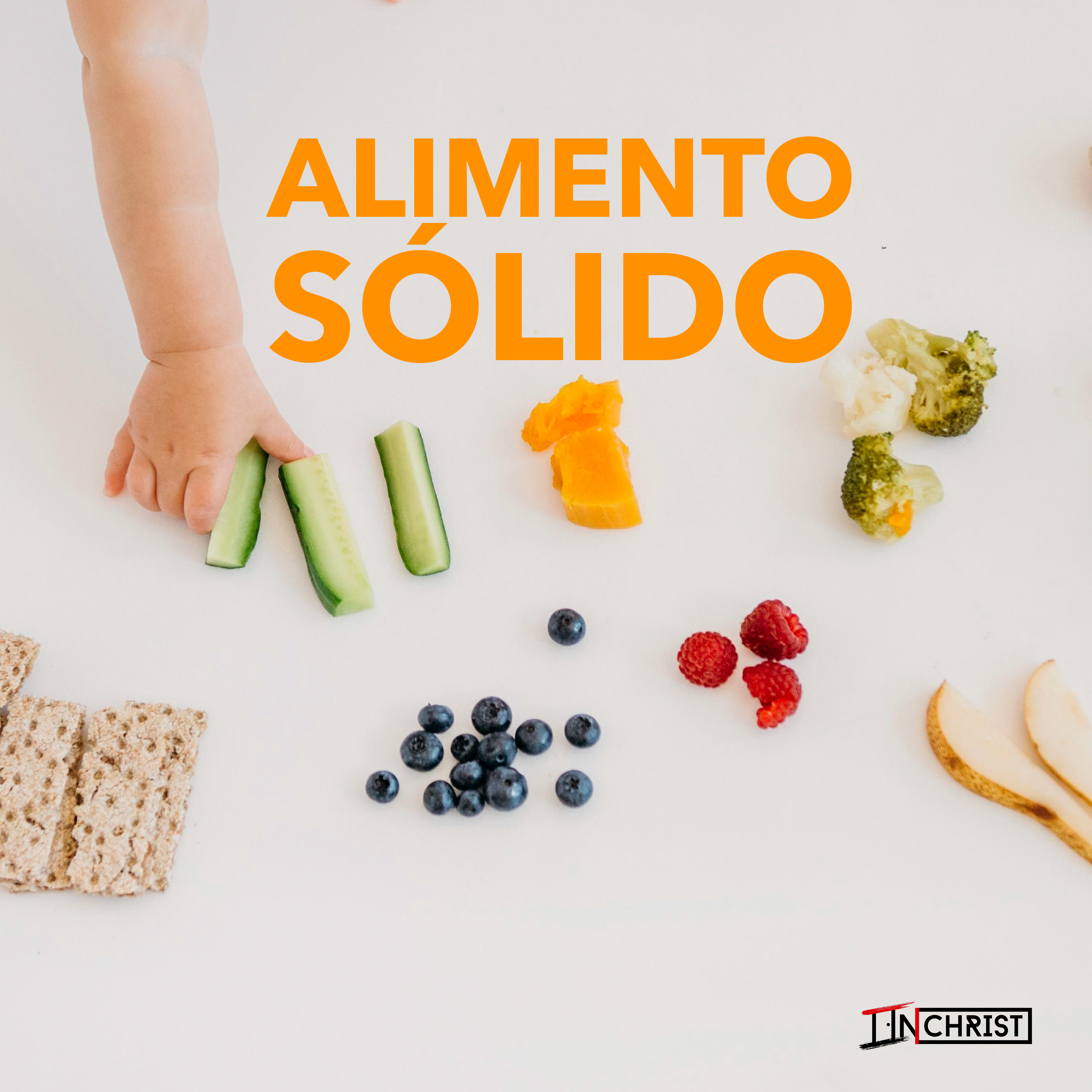Alimento Sólido - Single