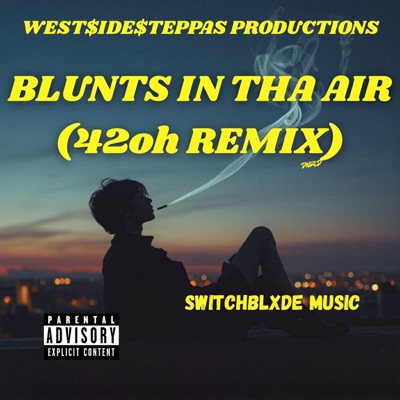 Blunts In Tha Air (42oH Remix) - Single