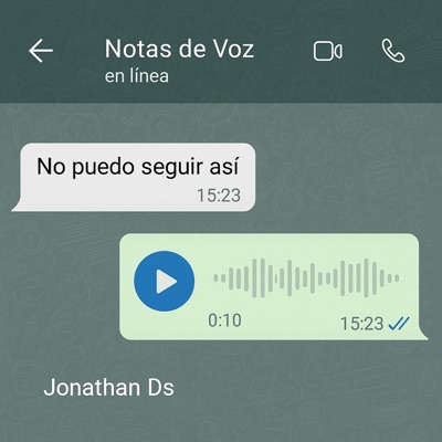 Notas De Voz