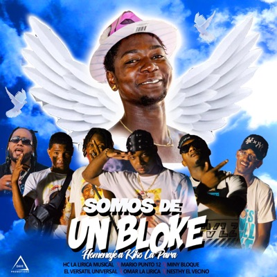 Somos de un Bloke (feat. Mario punto 12, Mini Bloke 13.0, Versatil Universal, Omar La Lirica & Nesthy El Vesino) - Single