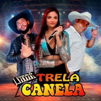 Aí Cê Liga - Single - Forró Trela Canela