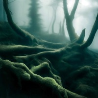 ТИХАЯ СОМНИЯ (REMIX) - Single - Мишаня Росс & BoykaZet