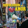 Revolucion De Amor
