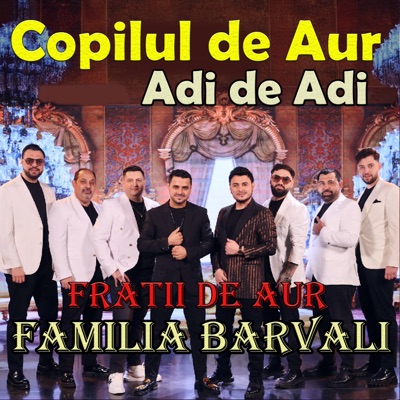 Familia Barvali (feat. Fratii de Aur & Adi de Adi) - Single