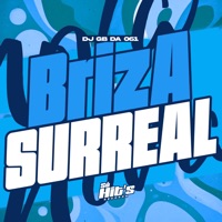 Briza Surreal - Single - DJ GB DA 061
