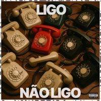 Ligo ou não ligo - Single - AK SAITO, SegD & SUSHIBOY011