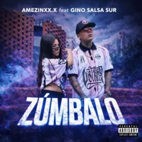 Zúmbalo - Single - Amezinxx.x & Gino Salsa Sur