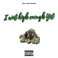 I Ain't High Enough Yet - Terrell Matheny