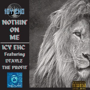 Nothin' On Me (feat. Dtaylz the Profit)