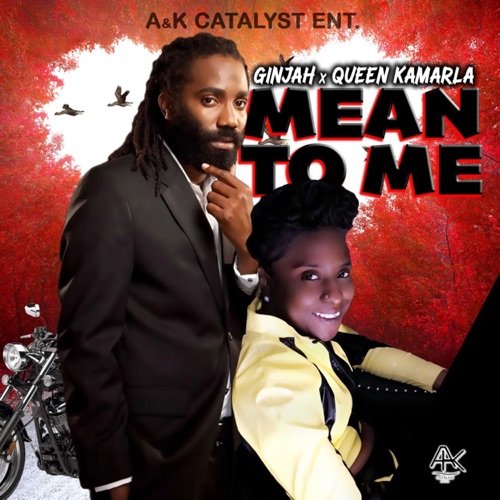 Mean to Me (feat. Ginjah) - Single