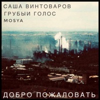 Добро пожаловать (feat. ГРУБЫЙ ГОЛОС) - Single - Mosya & Саша Винтоваров