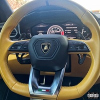 How You? (feat. Sh30wn) - Single - Baby AP