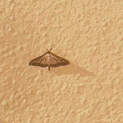 EastEndBoi (feat. Gil sm) - Single