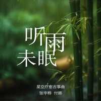 听雨未眠 - Single - 张宇桦 & 付娜