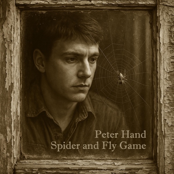 Spider and Fly Game