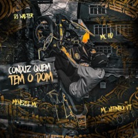 Conduz Quem Tem o Dom (feat. menezes Mc) - Single - DJ Walter, Mc HD & Mc Vitinho da vt