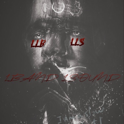 litzay ("cant trust no thot Pt. 2") - Single