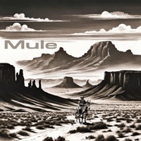 Mule (Unedited) - Single - RSD