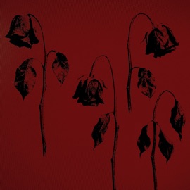 сходили с ума балкон ожиданий