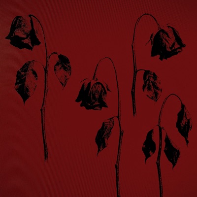 сходили с ума - Single