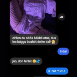 Ii leat miella Slincraze