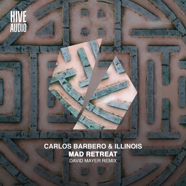 Mad Retreat (David Mayer Remix) - Single