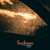Whole of Flower - Suchmos