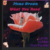 What You Need (feat. Dom The Artist & Icy Melo) - Single - Luh vic