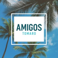 Amigos (Radio Edit) - Single - Tomaro