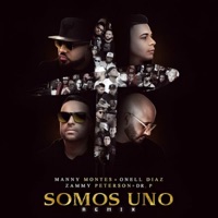 Somos Uno (Remix) [feat. Dr. P] - Single - Manny Montes, Zammy Peterson & Onell Diaz